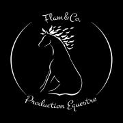 Flam co logo